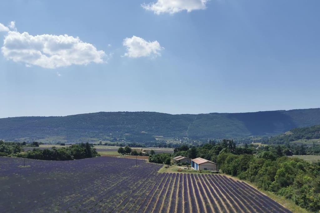La Petite Reine Du Ventoux Villa Sault-de-Vaucluse Luaran gambar